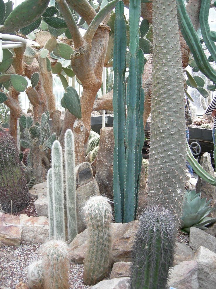 Volunteer Park  Trip Packages