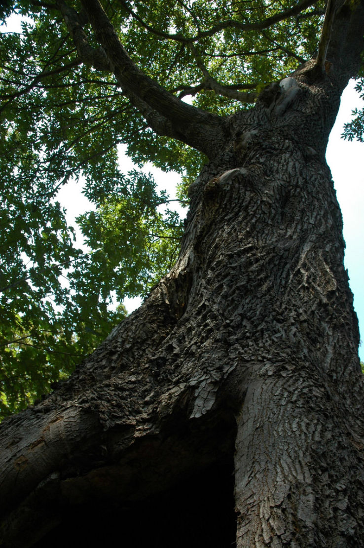 Carkeek Park  Trip Packages