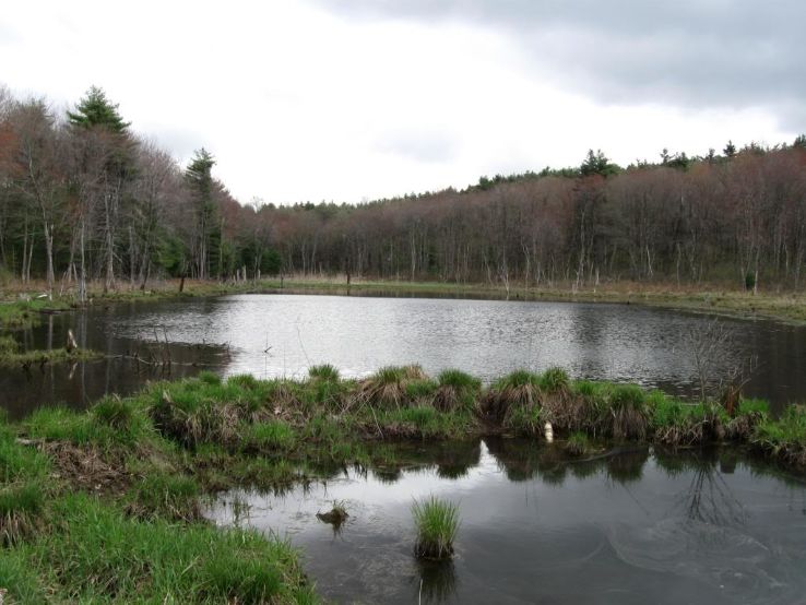 Oxbow National Wildlife Refuge Trip Packages