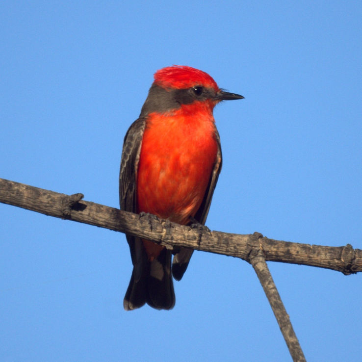 Prado Regional Park Trip Packages