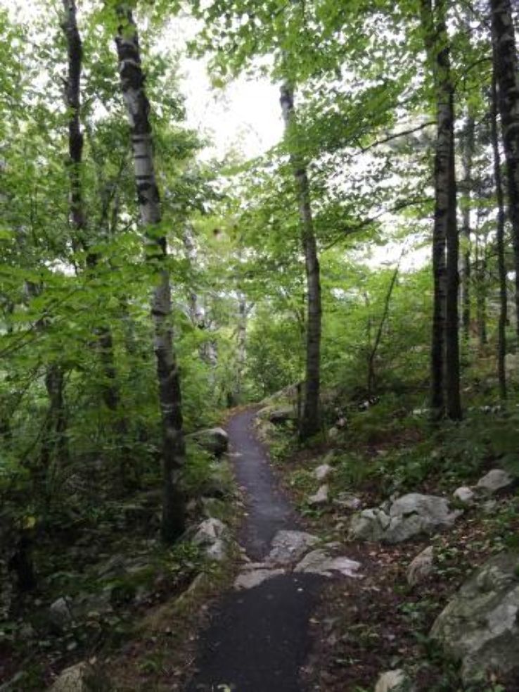Rib Mountain Talus Forest State Natural Area  Trip Packages