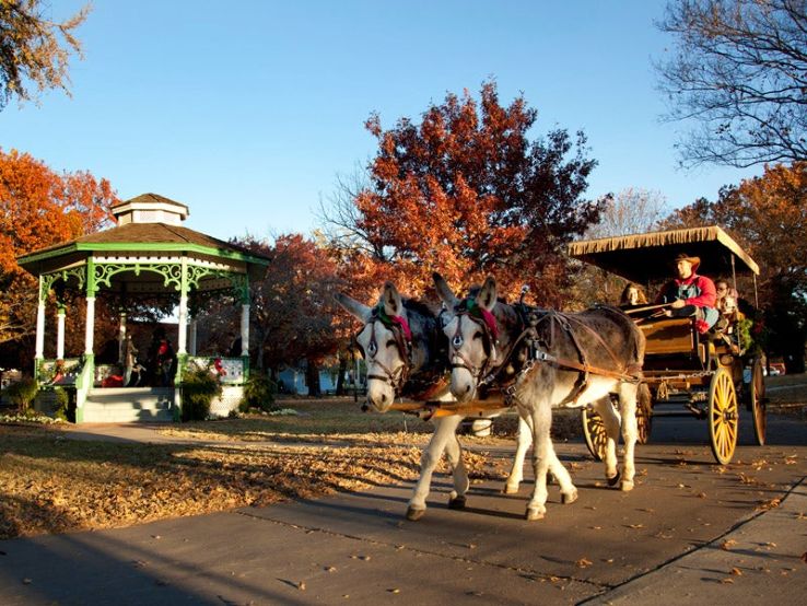 The Dallas heritage village Trip Packages