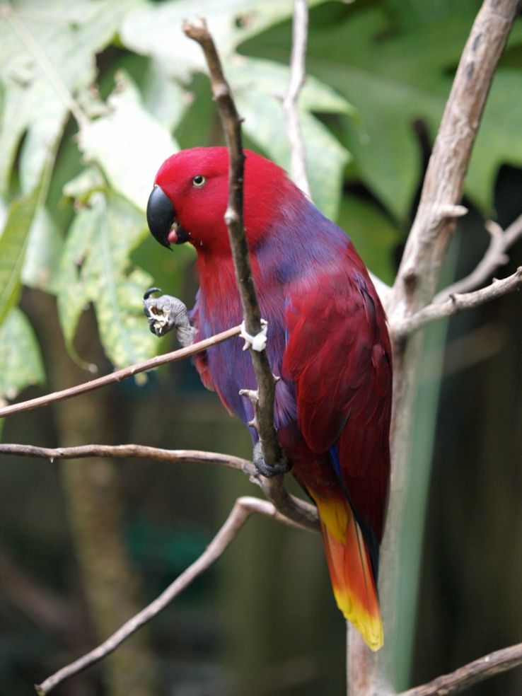 North Carolina Zoo  Trip Packages