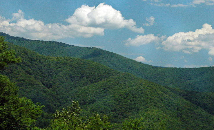 Western North Carolina Nature Center  Trip Packages