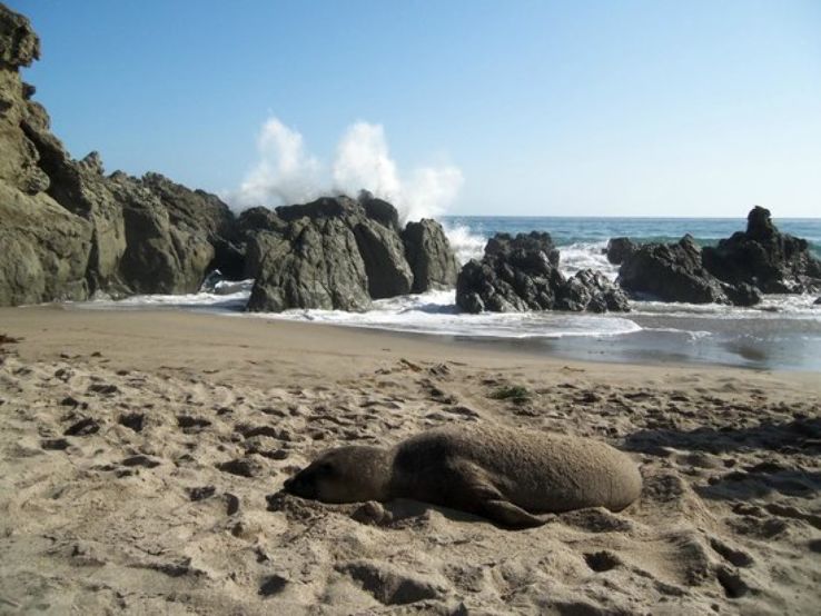 Point Mugu State Park 2021, 3 top things to do in malibu, california