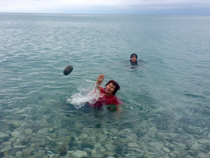 Pierce Stocking Scenic Drive Trip Packages