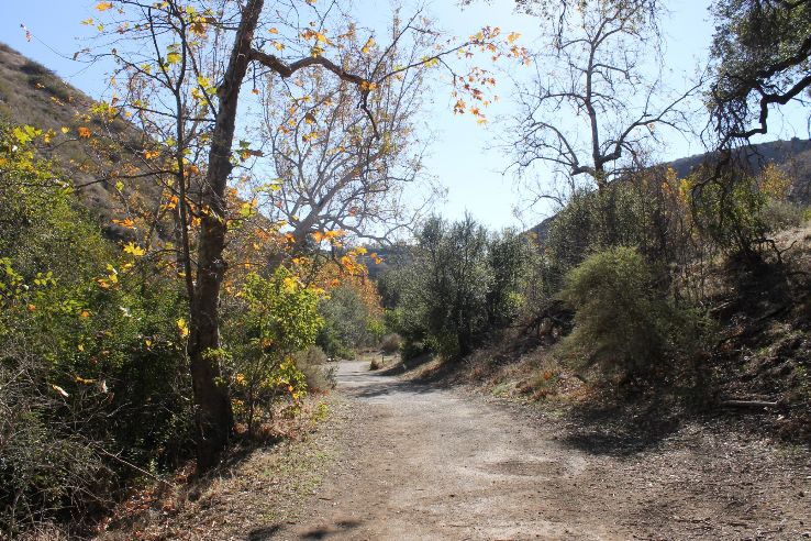 Solstice Canyon Trip Packages