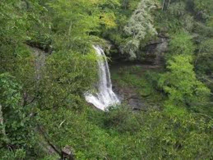 Nantahala National Forest  Trip Packages