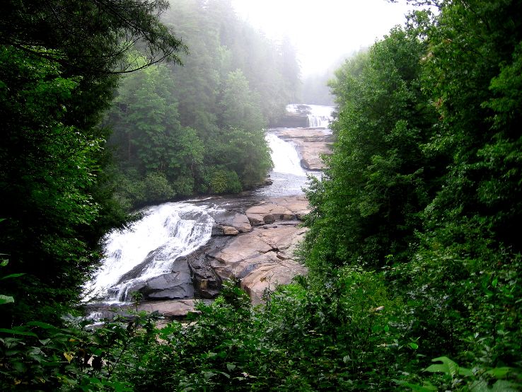 DuPont State Forest  Trip Packages