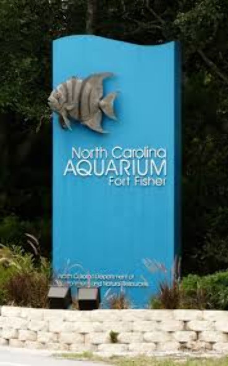 North Carolina Aquarium at Fort Fisher  Trip Packages