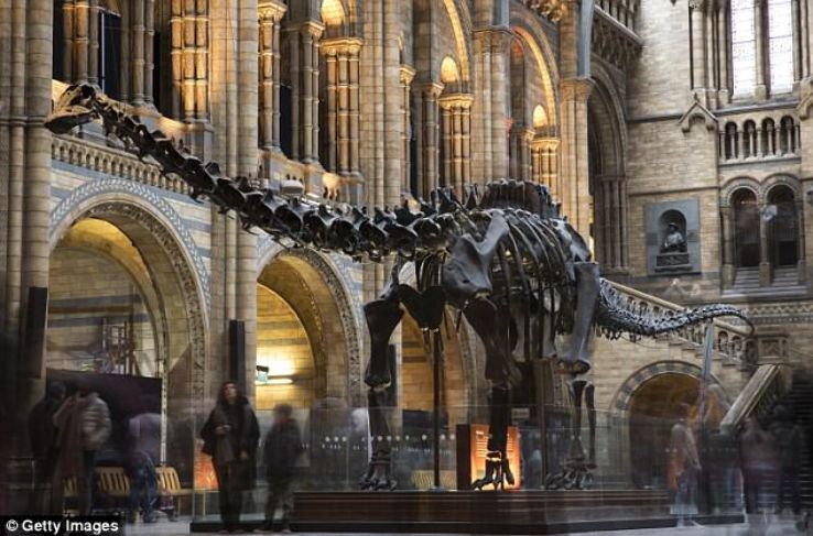 Discover the wonders of nature at the Natural History Museum Trip Packages