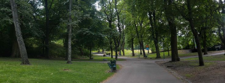 Hang with the locals at Tantolunden Park Trip Packages