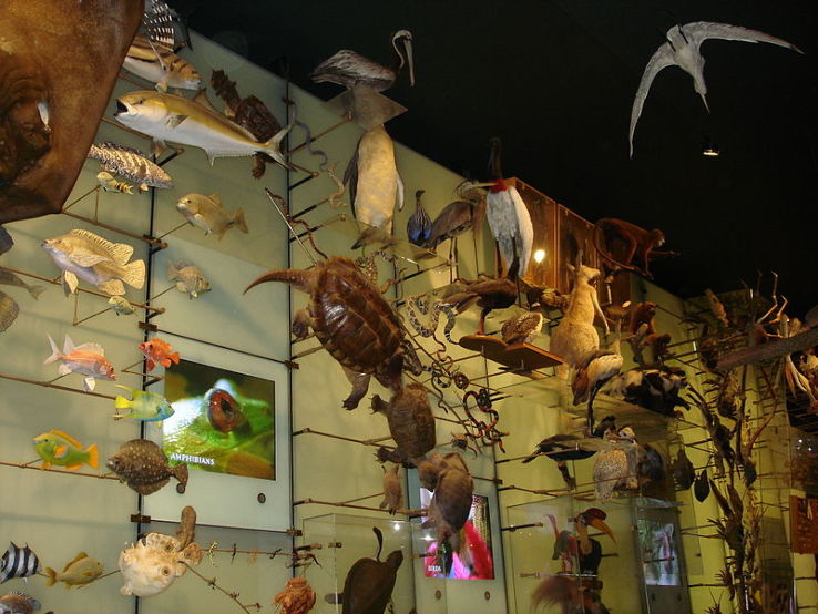 American Museum of Western Art Trip Packages