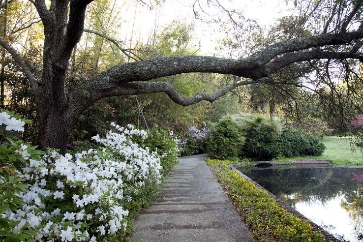 Bellingrath Gardens and Home Trip Packages