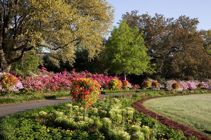 Bellingrath Gardens and Home Trip Packages