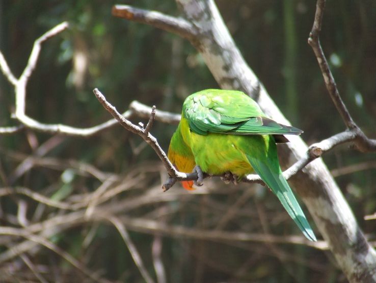 Birmingham Zoo in usa Trip Packages