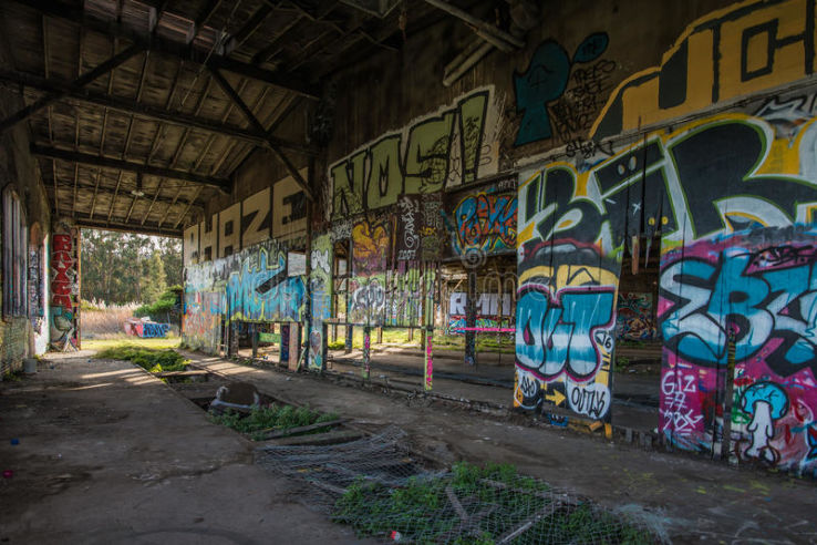 Bayshore Roundhouse Trip Packages