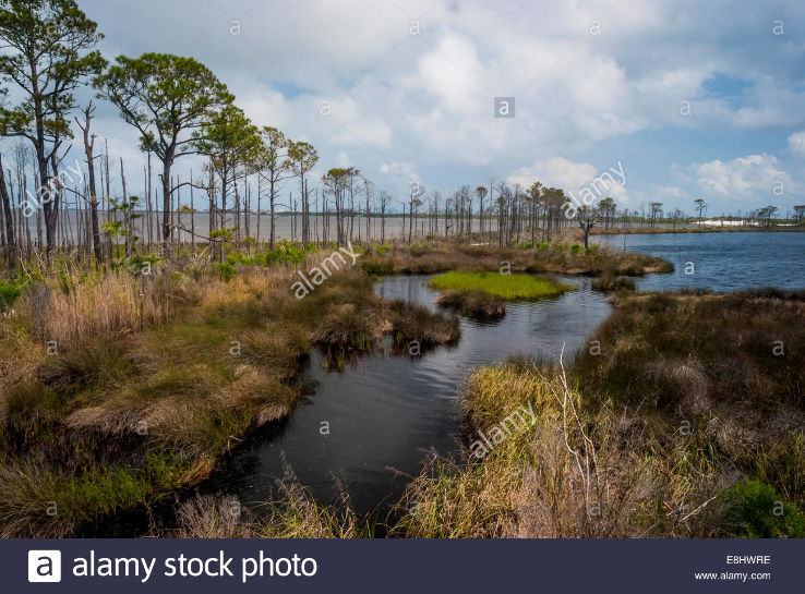 Bon Secour National Wildlife Refuge Trip Packages