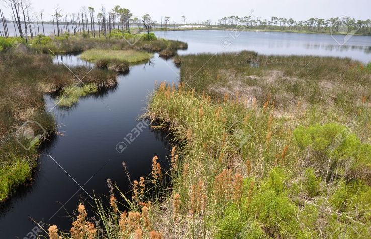Bon Secour National Wildlife Refuge Trip Packages