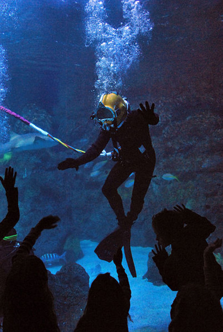 Downtown Aquarium Trip Packages