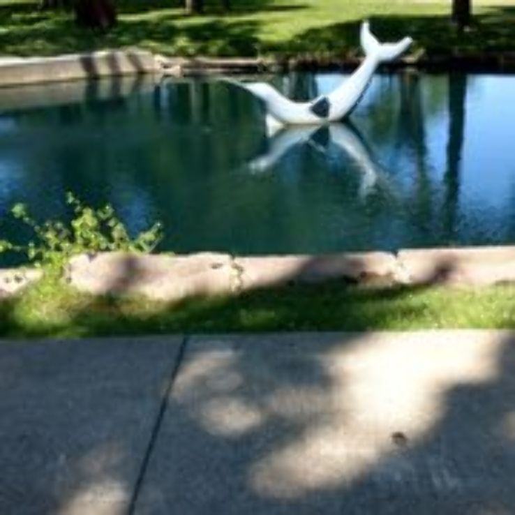 Carroll Park Trip Packages