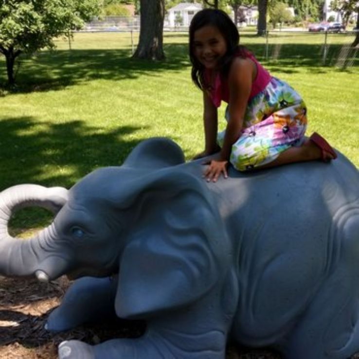 Carroll Park Trip Packages