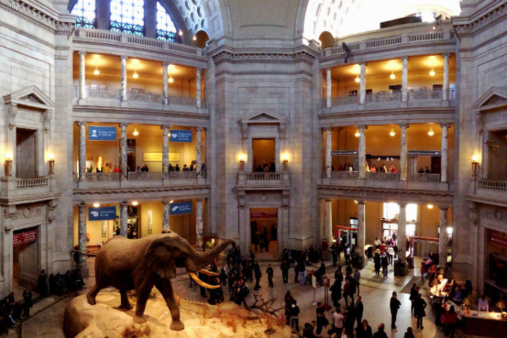 Childrens Museum of Denver Trip Packages