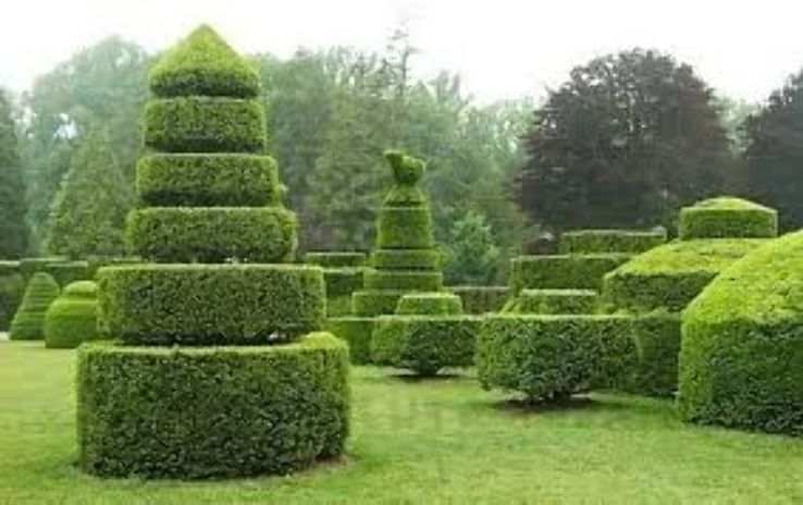 Topiary Trip Packages