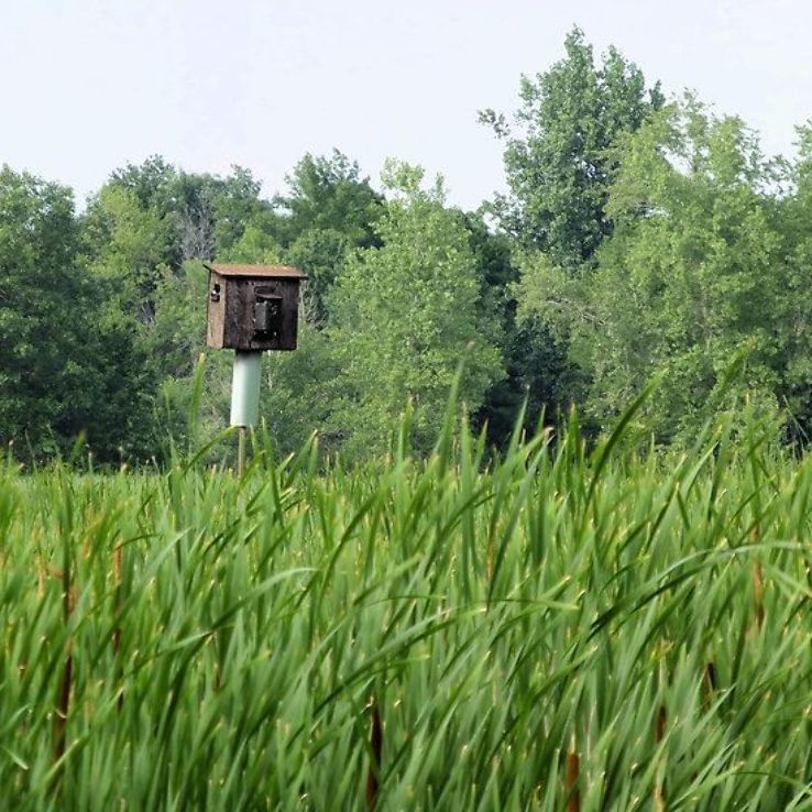 Tobico Marsh  Frank N Andersen Nature Trail Trip Packages