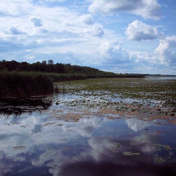 Tobico Marsh  Frank N Andersen Nature Trail Trip Packages