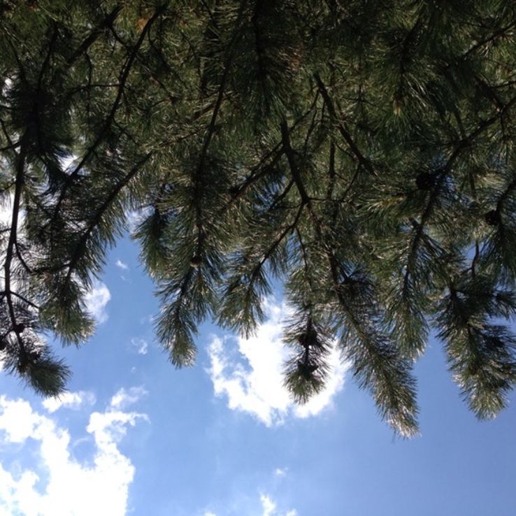 DeFoe Park Trip Packages