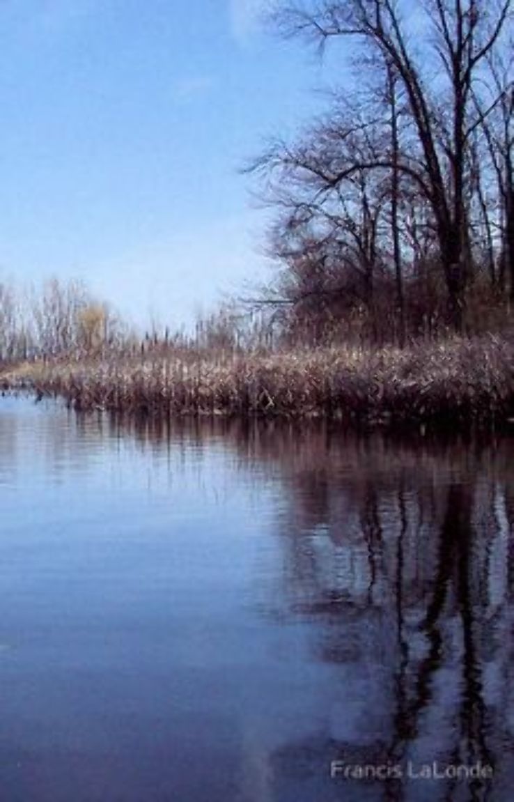 Ted Putz Nature Area Trip Packages