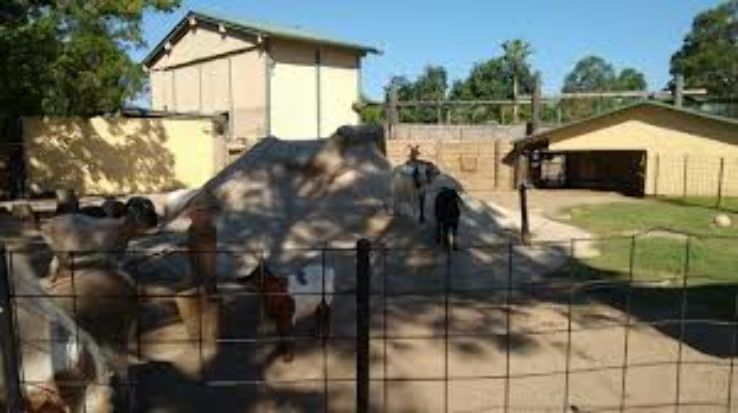 Alabama Gulf Coast Zoo Trip Packages