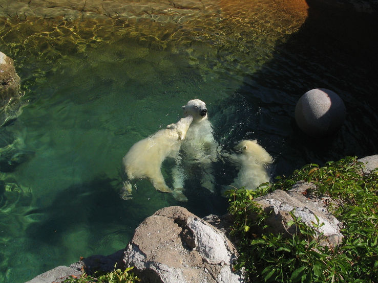 Denver Zoo Trip Packages