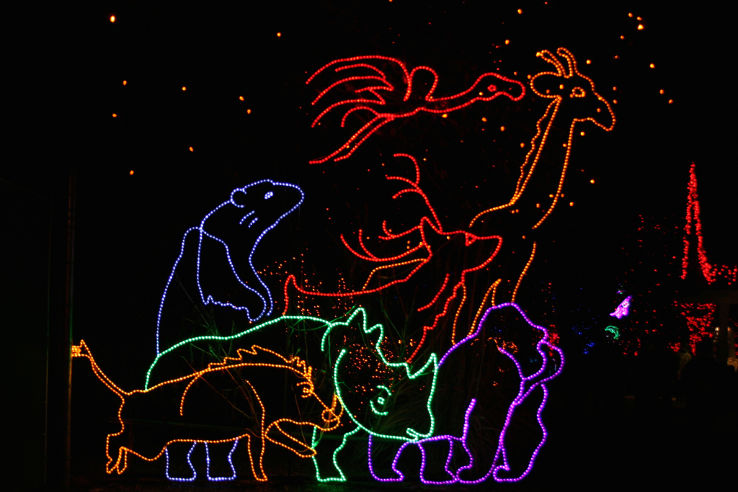 Denver Zoo Trip Packages