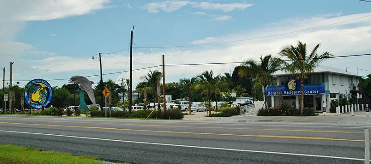 The Dolphin research center Trip Packages