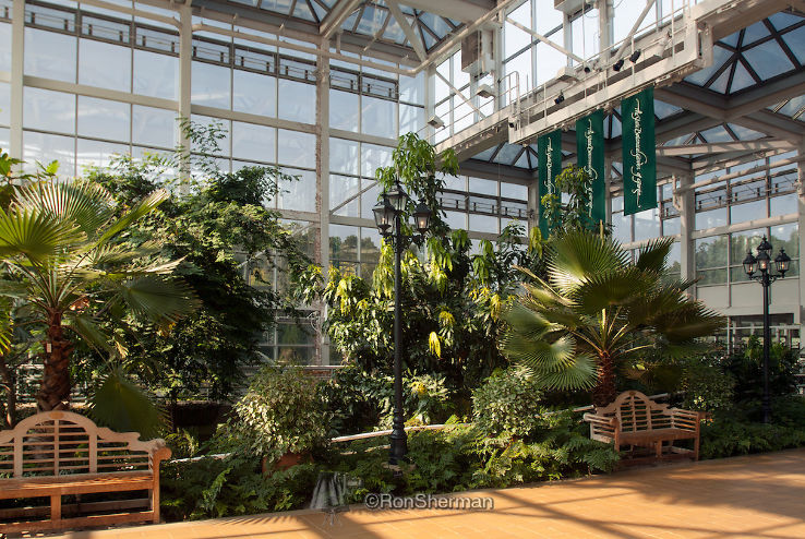 State Botanical Garden of Georgia Trip Packages