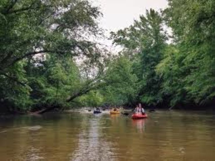 Big Dogs on the River Trip Packages