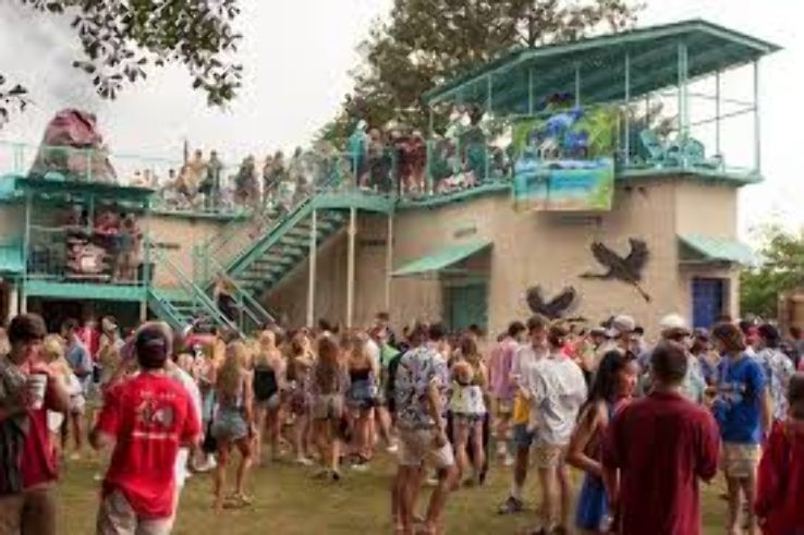 Big Dogs on the River Trip Packages