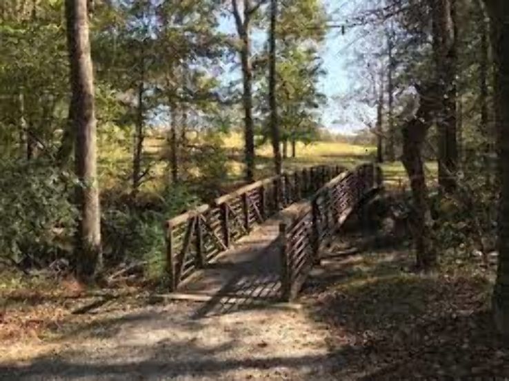 Birchmore Trail Trip Packages