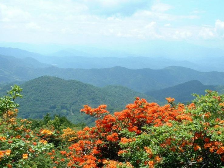 Buffalo Mountain Park Trip Packages