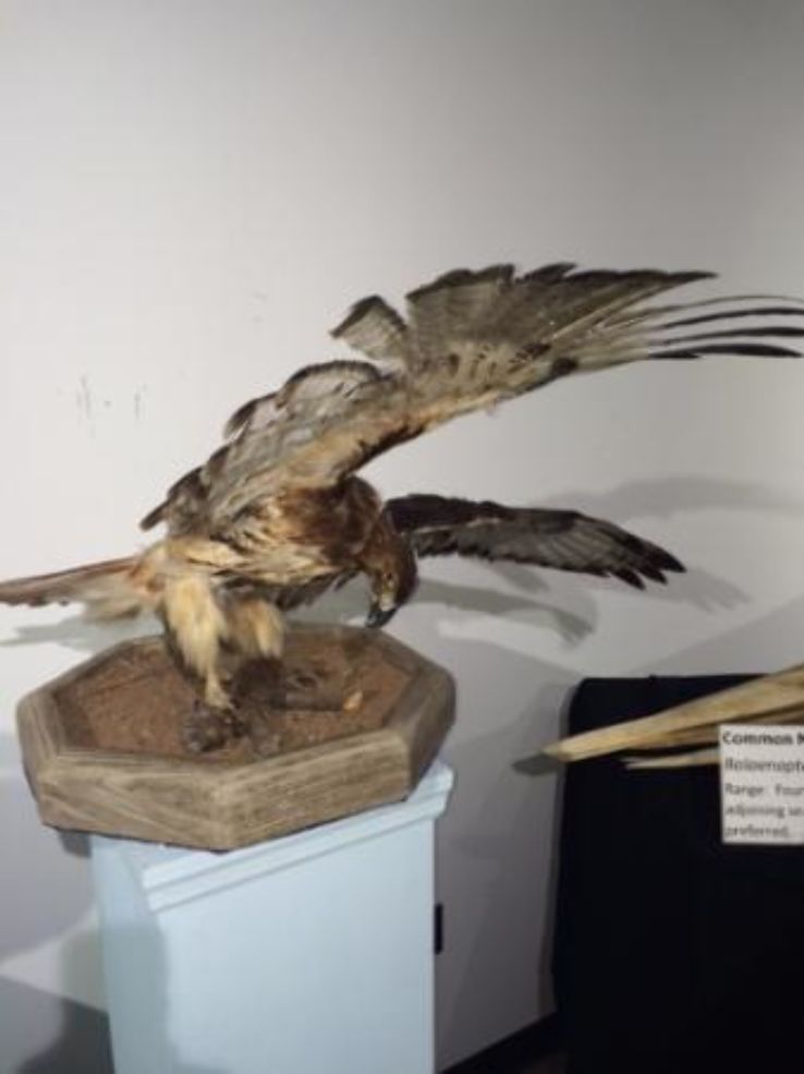 Georgia Museum of Natural History Trip Packages