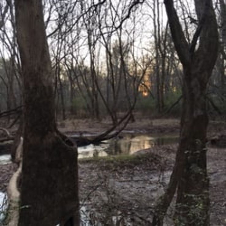 Sandy Creek Nature Center Trip Packages