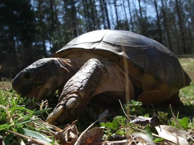 Sandy Creek Nature Center Trip Packages