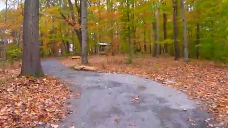 Timberland Park Trip Packages