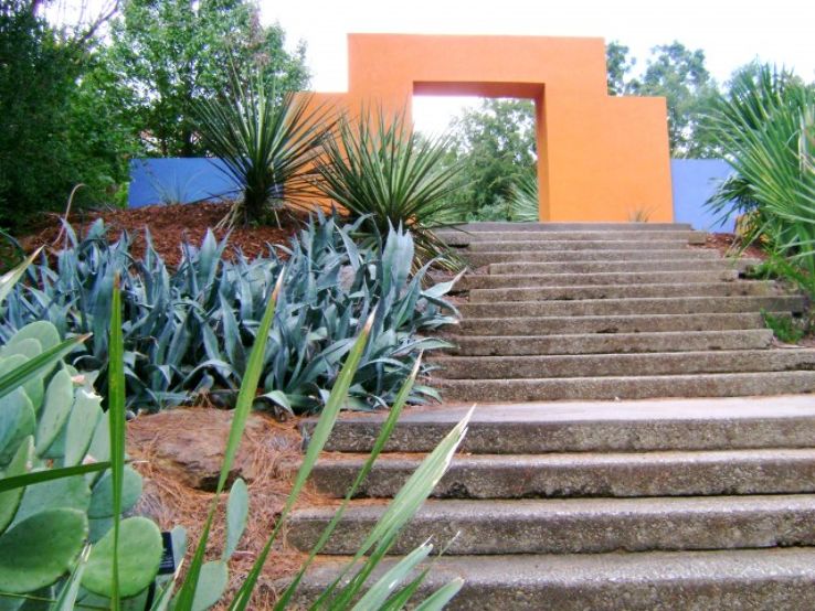 Latin American Ethnobotanical Garden Trip Packages