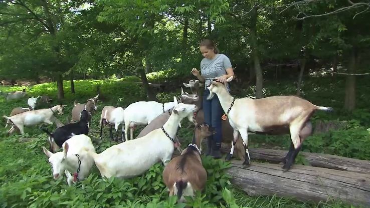 Noble Springs Dairy Trip Packages