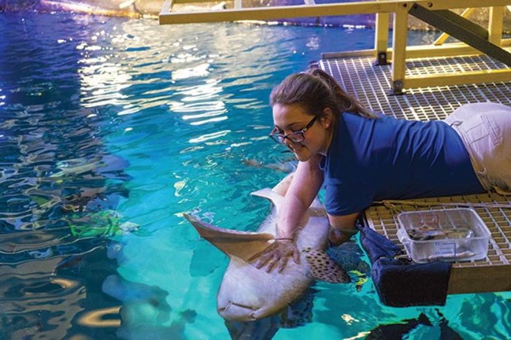 Pittsburgh Zoo & PPG Aquarium Trip Packages