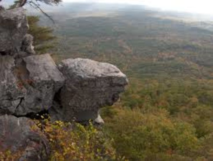 Cheaha Mountain Trip Packages