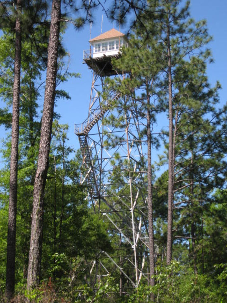 Bankhead National Forest Trip Packages